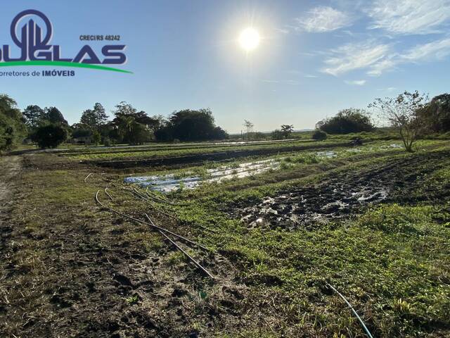 #2427 - CHÁCARAS ACIMA DE 2 HECTARES para Venda em Viamão - RS - 2