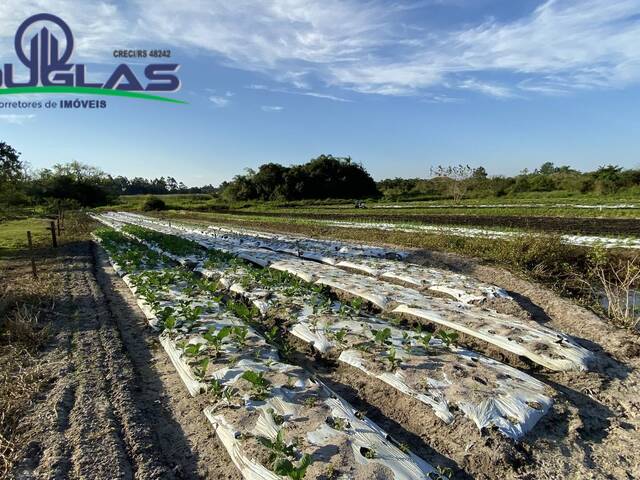 #2427 - CHÁCARAS ACIMA DE 2 HECTARES para Venda em Viamão - RS - 3