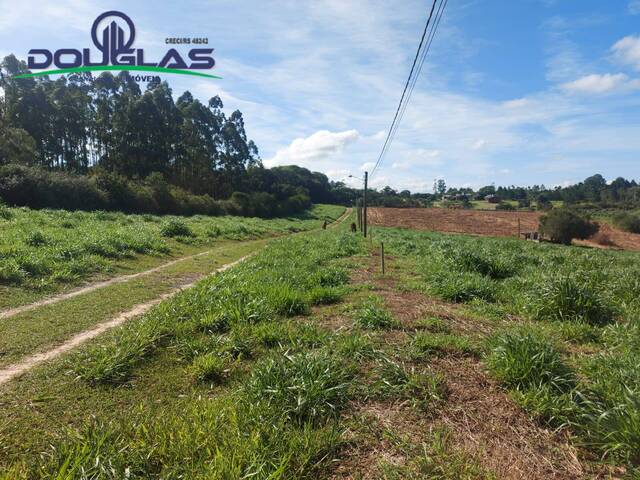 #2441 - CHÁCARAS ACIMA DE 2 HECTARES para Venda em Viamão - RS - 2