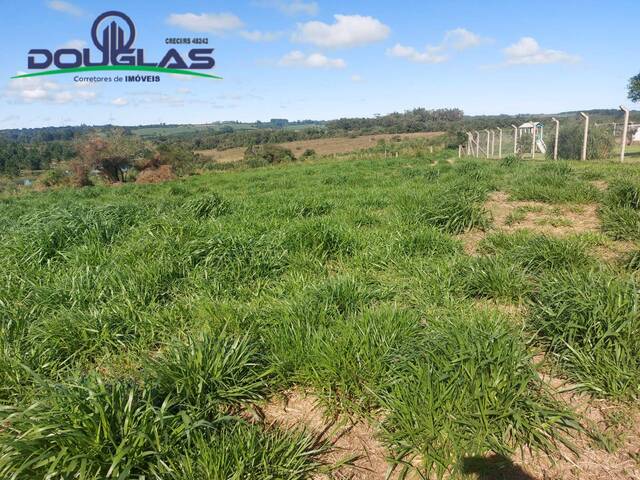 #2441 - CHÁCARAS ACIMA DE 2 HECTARES para Venda em Viamão - RS - 3