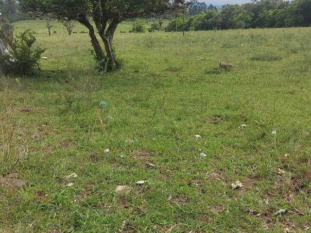 #2481 - CHÁCARAS ACIMA DE 2 HECTARES para Venda em Viamão - RS - 2