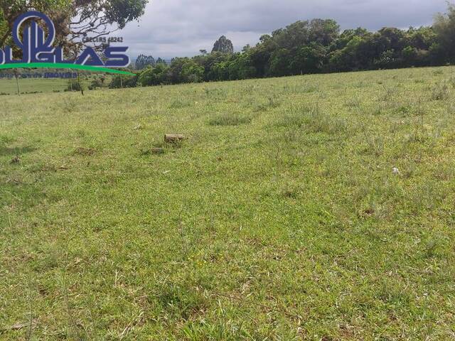 #2481 - CHÁCARAS ACIMA DE 2 HECTARES para Venda em Viamão - RS - 3