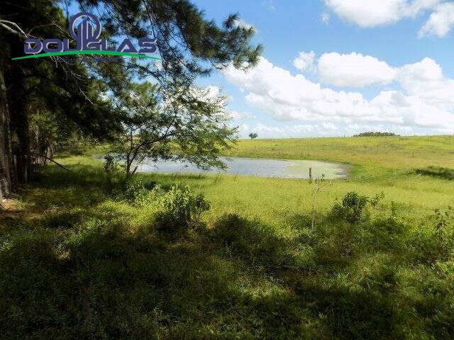 #2433 - CHÁCARAS ACIMA DE 2 HECTARES para Venda em Viamão - RS - 2