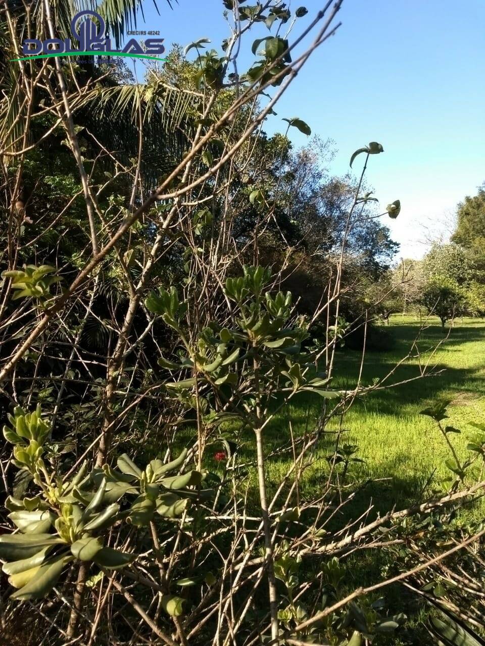 Terreno à venda, 2500m² - Foto 5