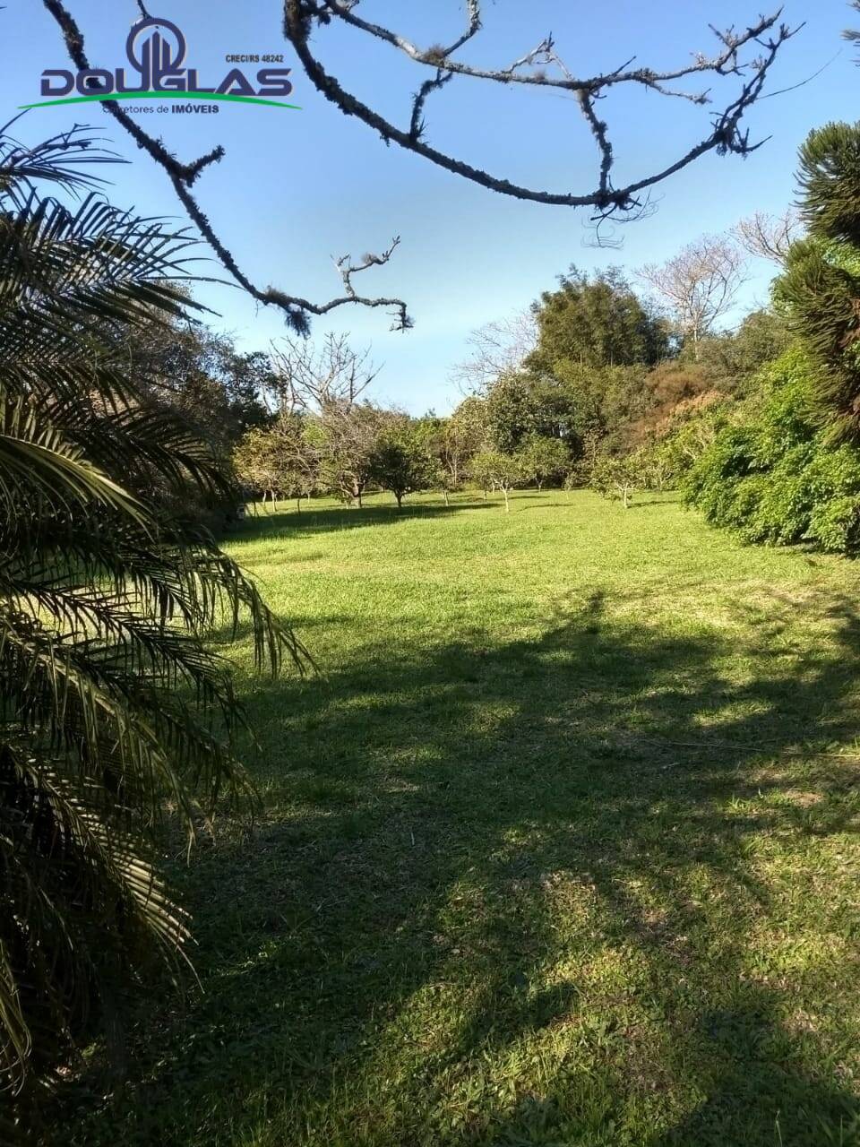 Terreno à venda, 2500m² - Foto 7