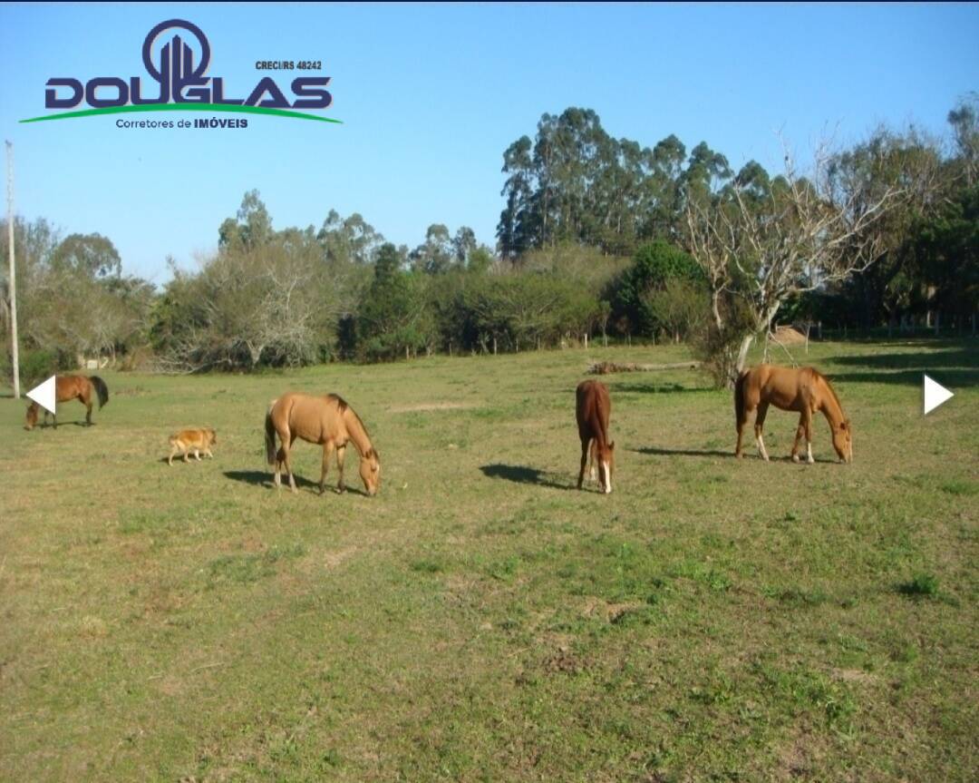 Terreno à venda, 480000m² - Foto 5