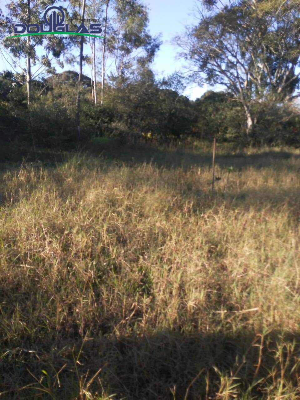 Fazenda à venda com 3 quartos, 70000m² - Foto 6