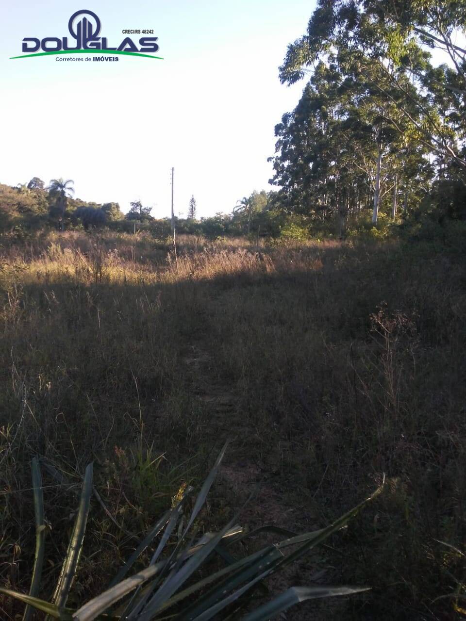 Fazenda à venda com 3 quartos, 70000m² - Foto 9