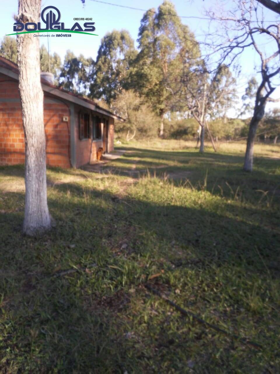 Fazenda à venda com 3 quartos, 70000m² - Foto 1