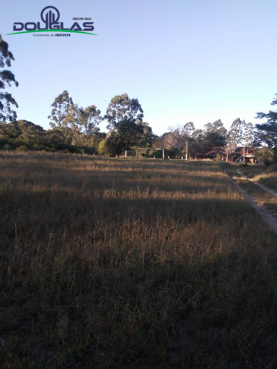 Fazenda à venda com 3 quartos, 70000m² - Foto 7