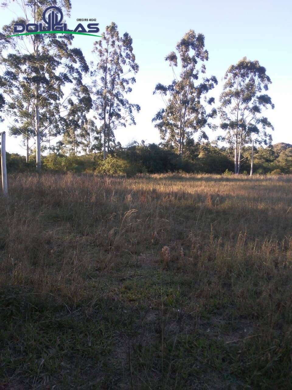 Fazenda à venda com 3 quartos, 70000m² - Foto 10