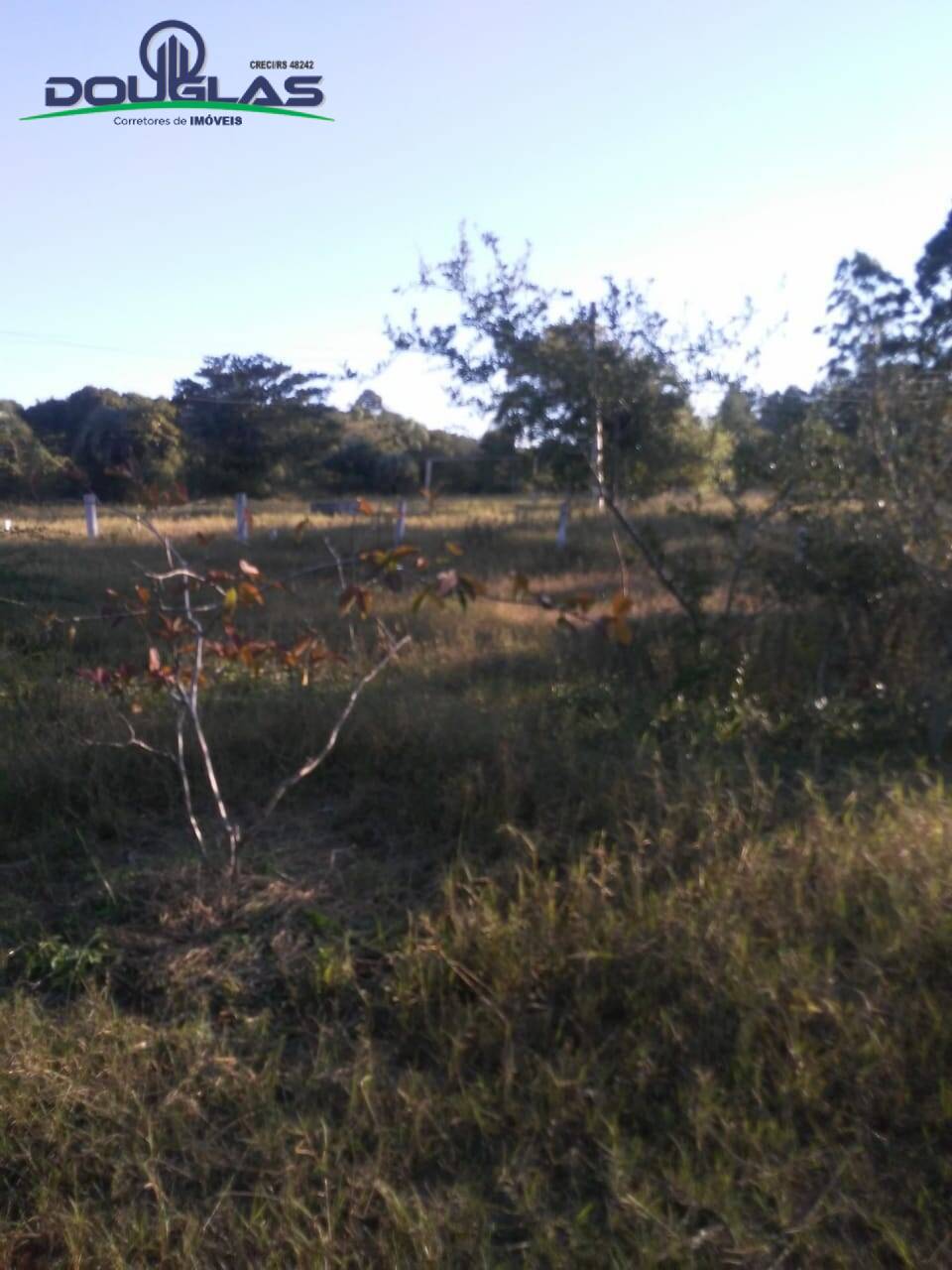 Fazenda à venda com 3 quartos, 70000m² - Foto 8