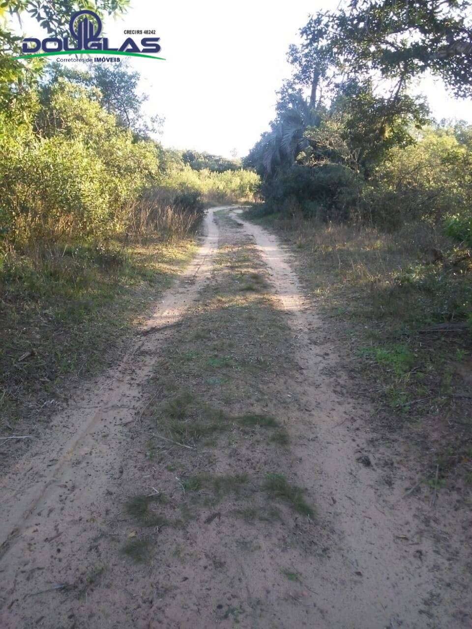 Fazenda à venda com 3 quartos, 70000m² - Foto 3