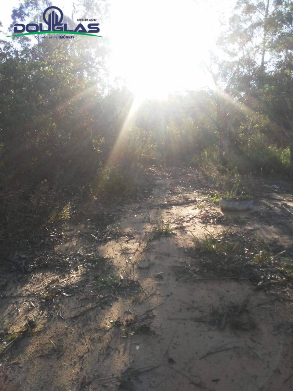 Fazenda à venda com 3 quartos, 70000m² - Foto 12