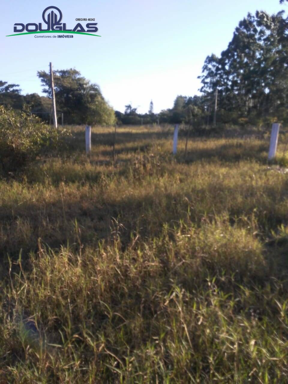 Fazenda à venda com 3 quartos, 70000m² - Foto 20