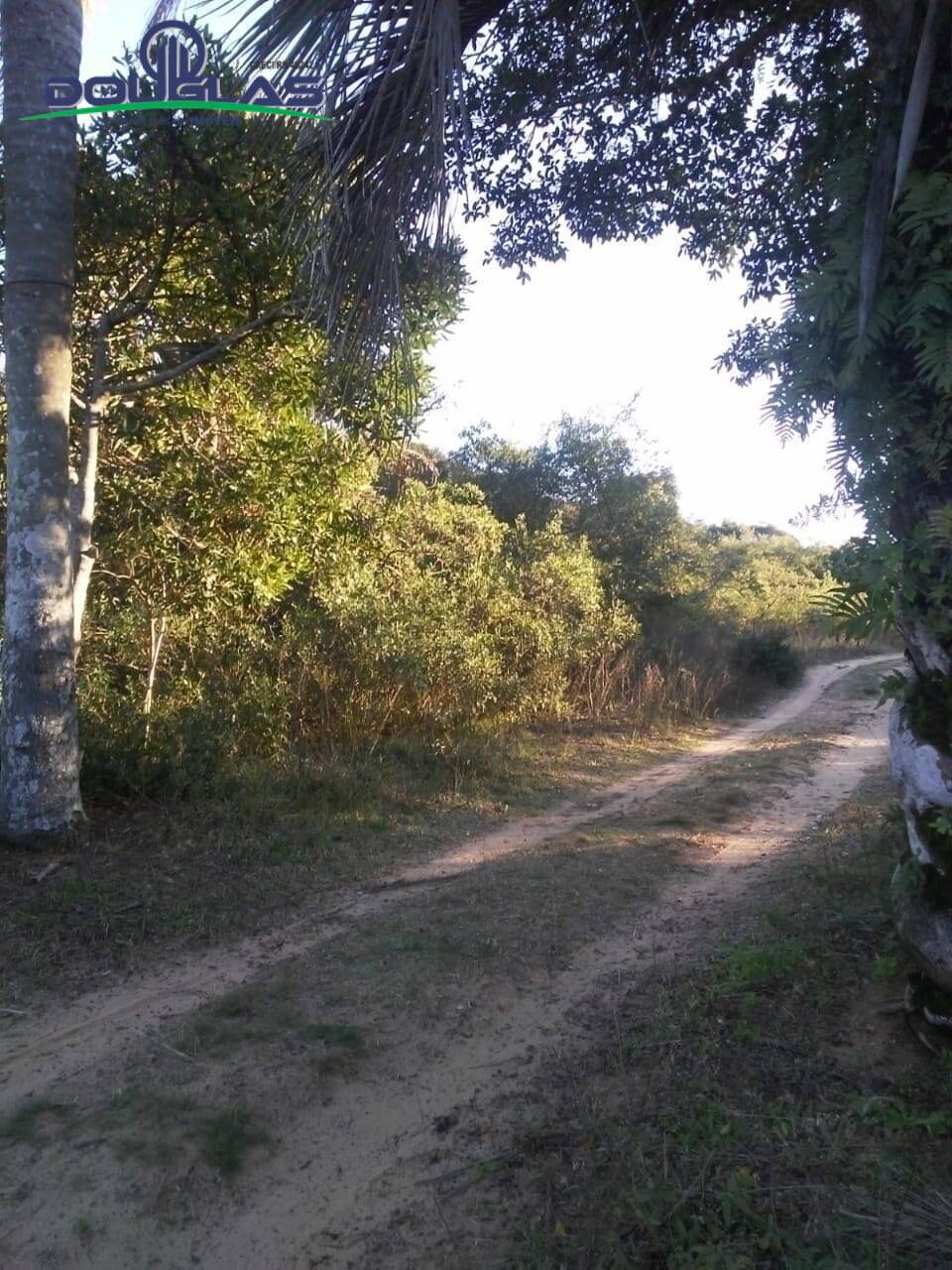 Fazenda à venda com 3 quartos, 70000m² - Foto 2