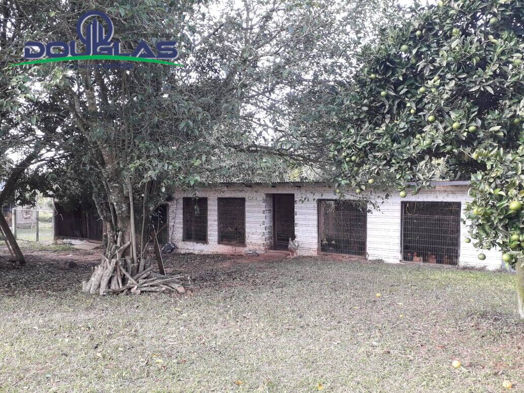 Fazenda à venda com 3 quartos, 25000m² - Foto 3