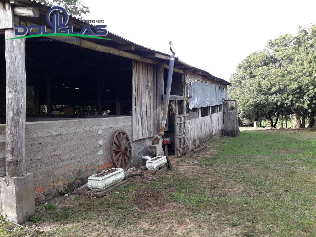 Fazenda à venda com 3 quartos, 25000m² - Foto 8