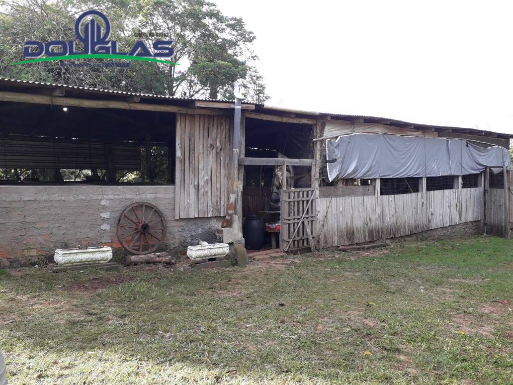 Fazenda à venda com 3 quartos, 25000m² - Foto 9