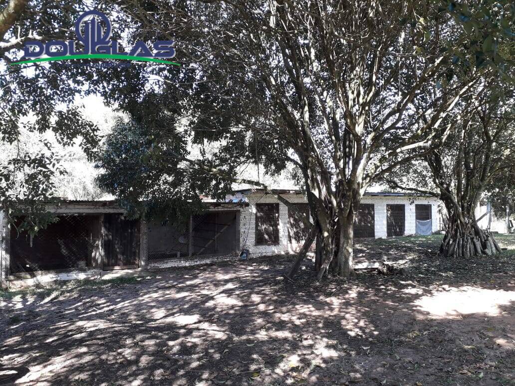 Fazenda à venda com 3 quartos, 25000m² - Foto 12