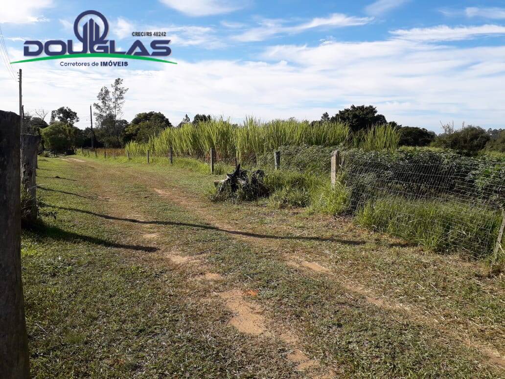 Fazenda à venda com 3 quartos, 25000m² - Foto 21