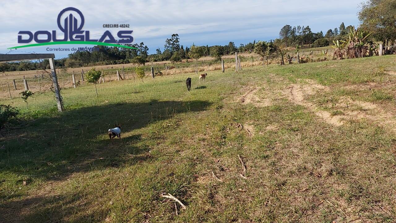 Fazenda à venda com 1 quarto - Foto 6