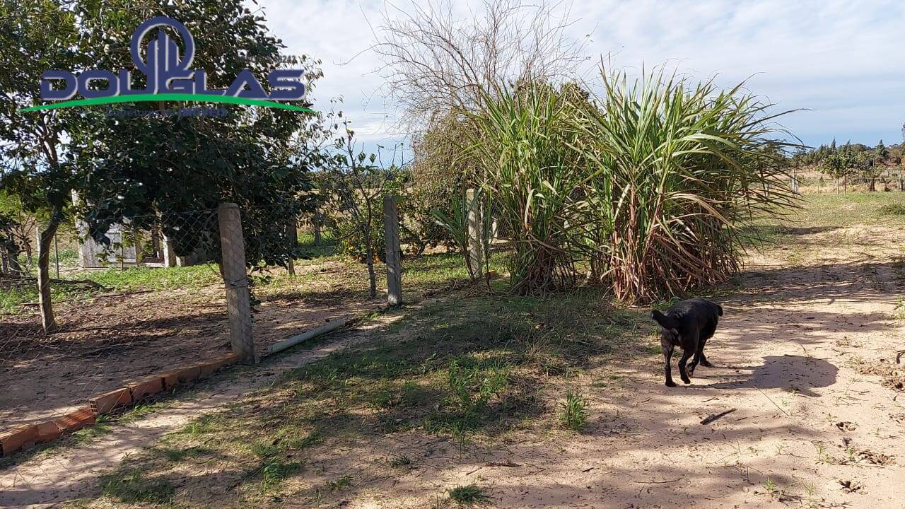 Fazenda à venda com 1 quarto - Foto 4