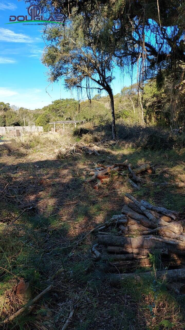 Terreno à venda, 750m² - Foto 4