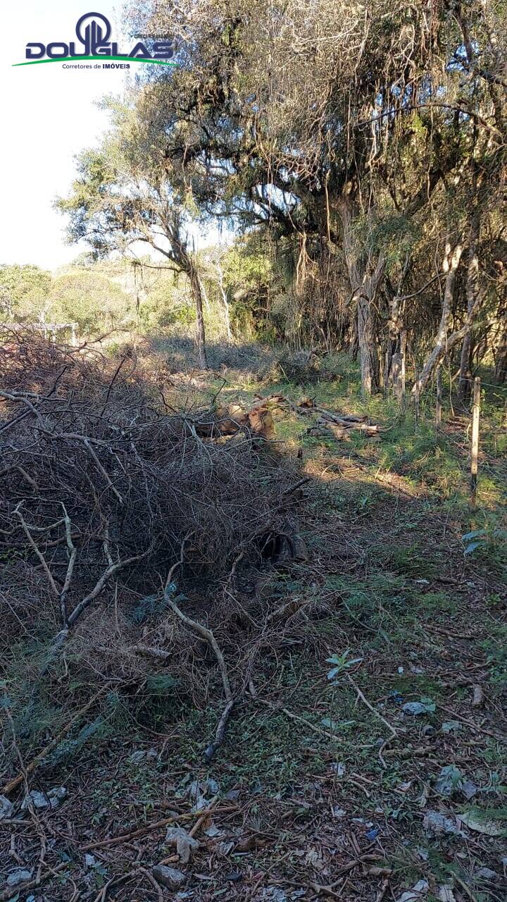 Terreno à venda, 750m² - Foto 2