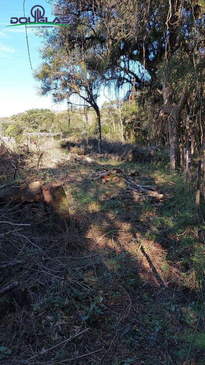 Terreno à venda, 750m² - Foto 3