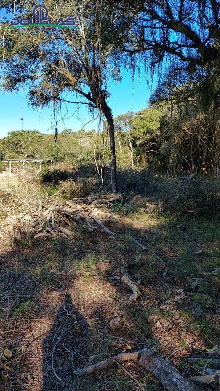 Terreno à venda, 750m² - Foto 6