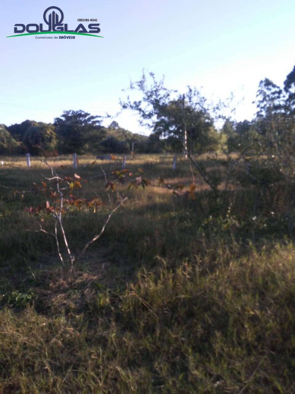 Fazenda à venda com 3 quartos - Foto 7