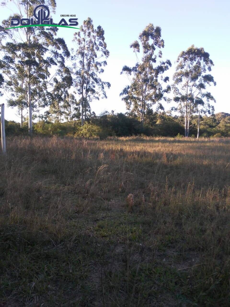 Fazenda à venda com 3 quartos - Foto 9