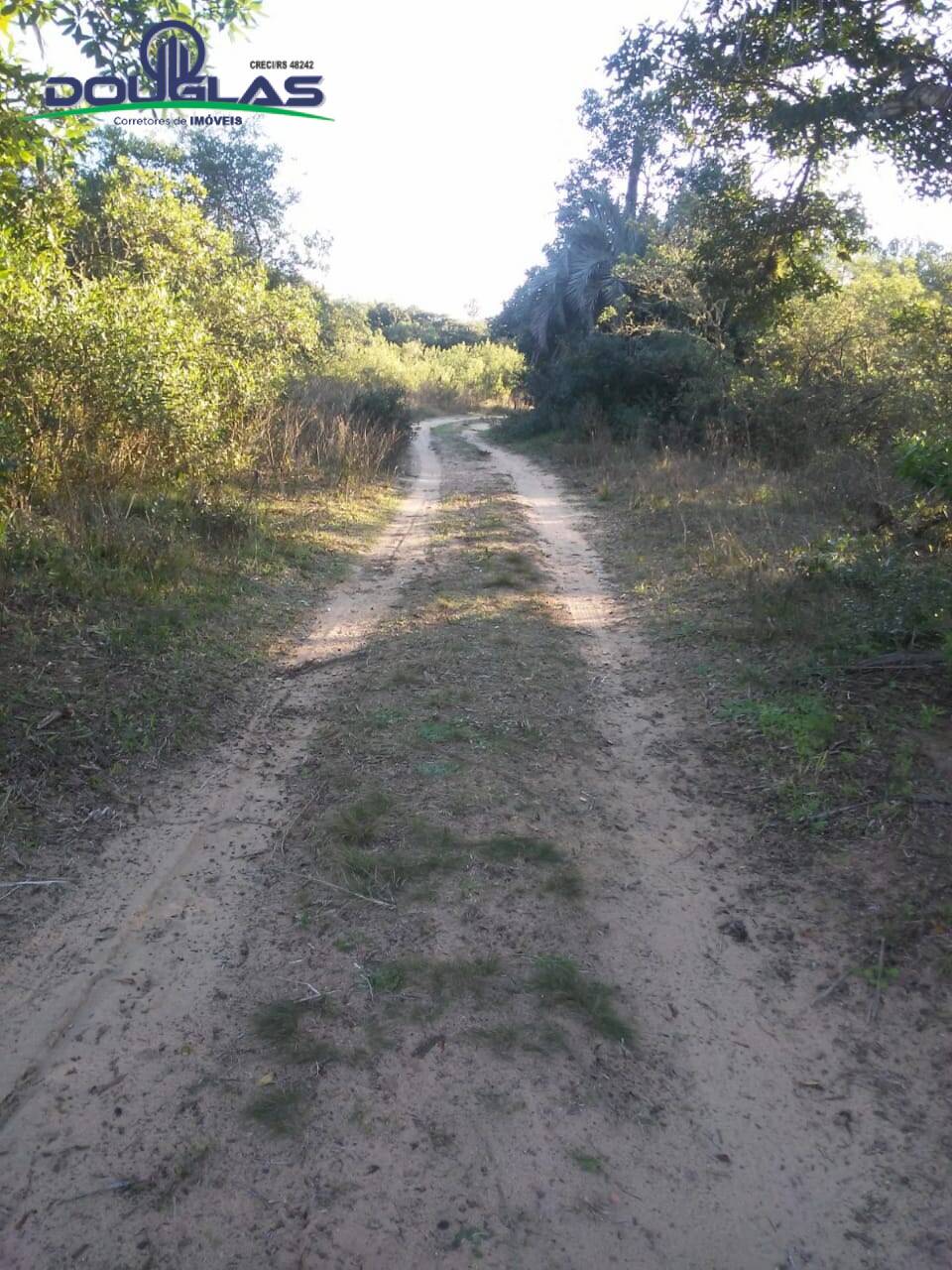 Fazenda à venda com 3 quartos - Foto 10