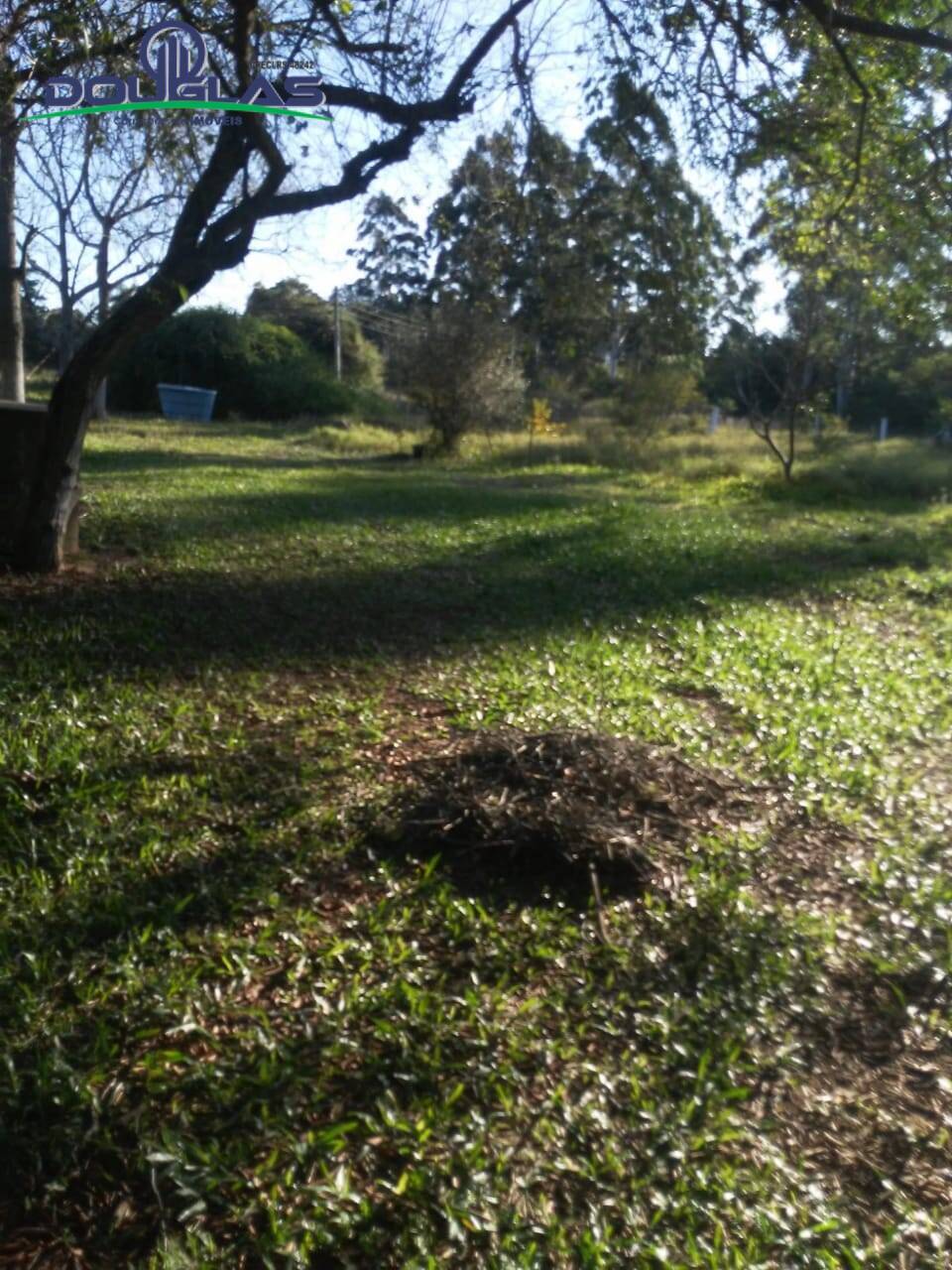 Fazenda à venda com 3 quartos - Foto 14