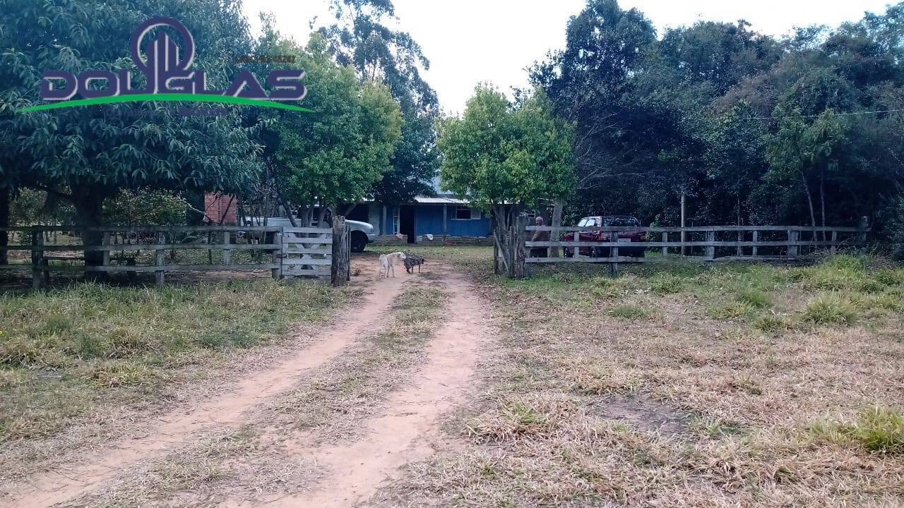 Fazenda à venda com 3 quartos - Foto 3