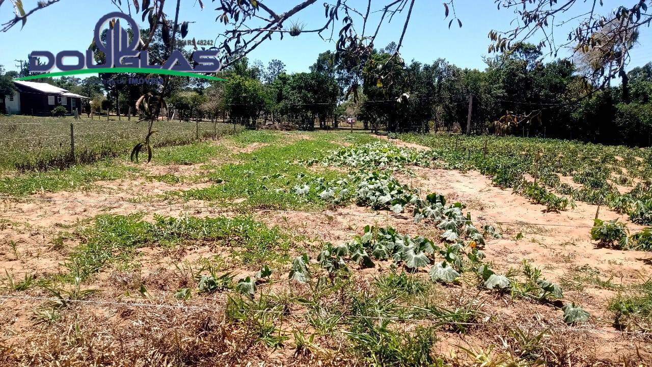 Fazenda à venda com 3 quartos - Foto 11