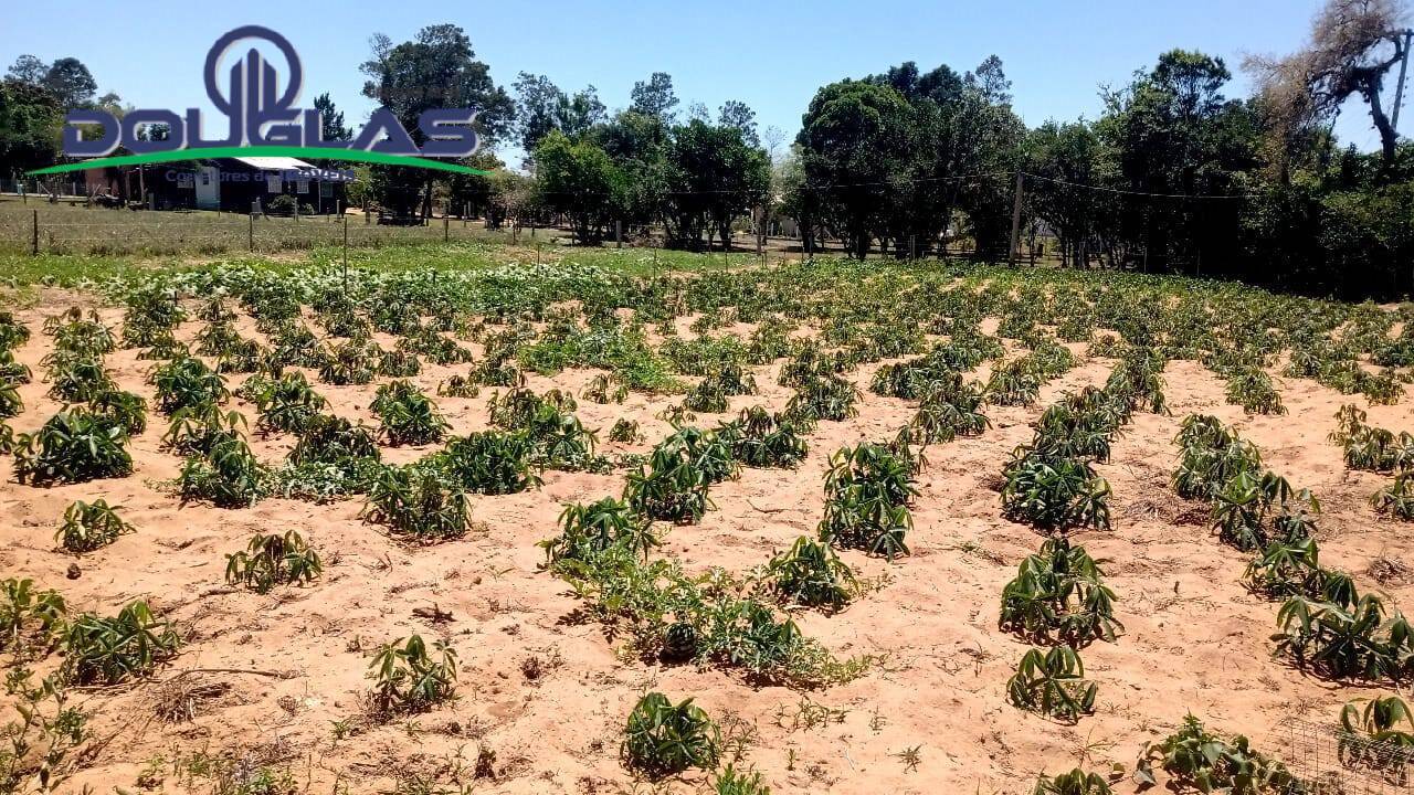 Fazenda à venda com 3 quartos - Foto 10