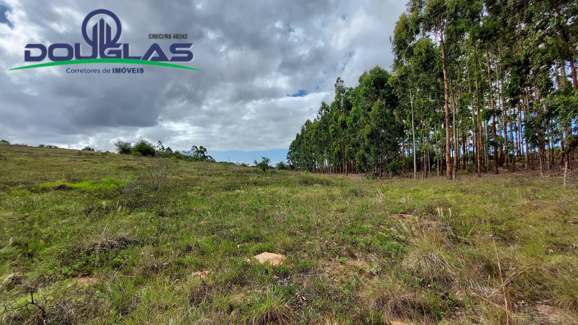 Terreno à venda, 20000m² - Foto 5