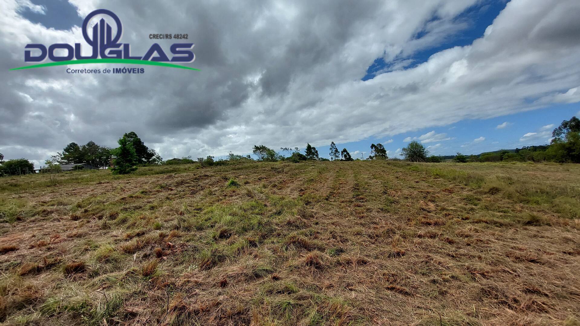 Terreno à venda, 20000m² - Foto 10