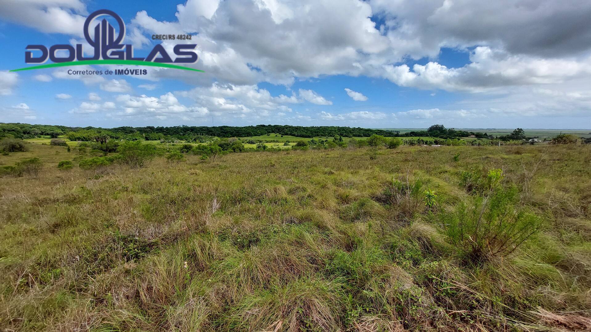 Terreno à venda, 20000m² - Foto 12