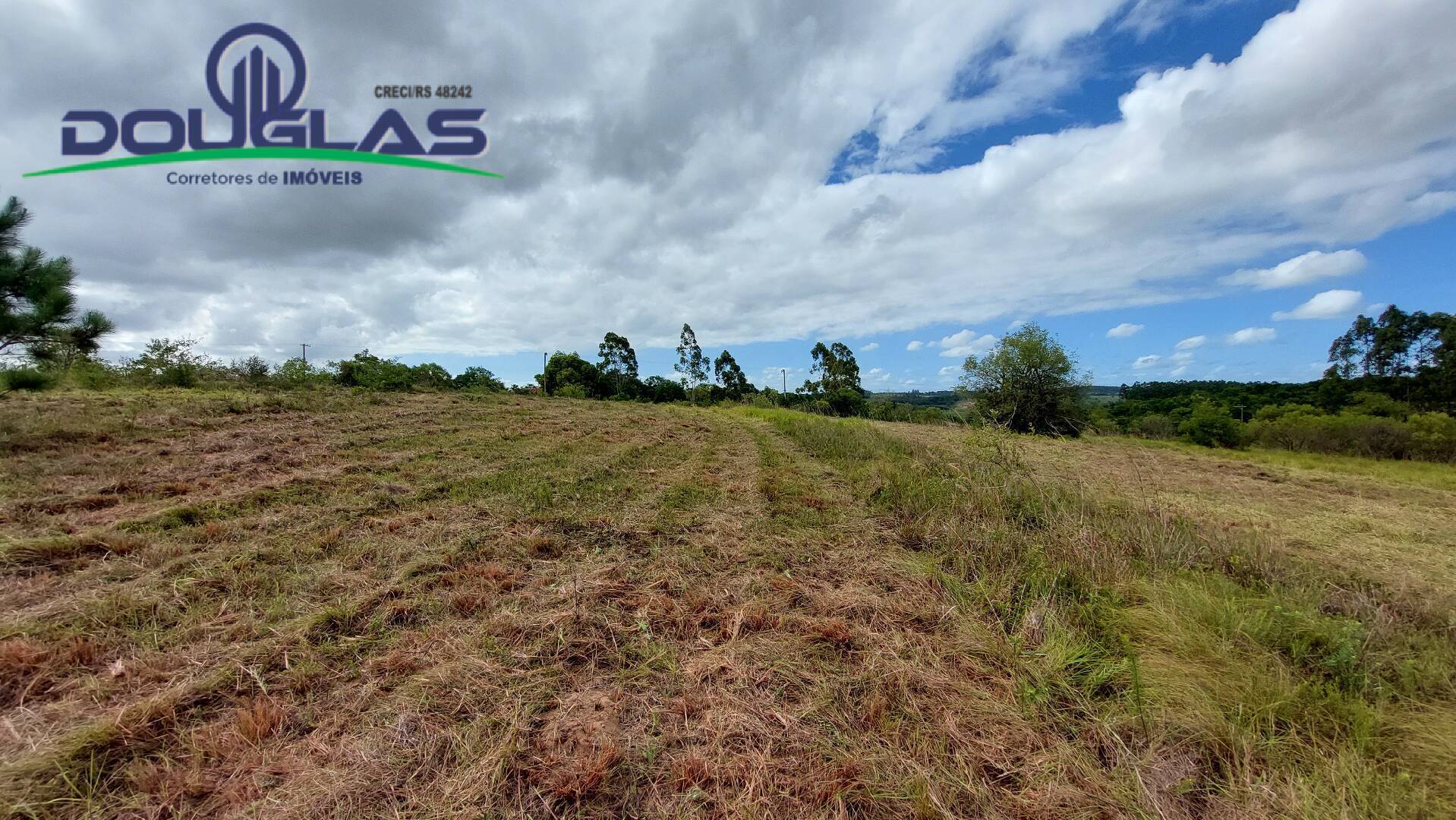 Terreno à venda, 20000m² - Foto 13