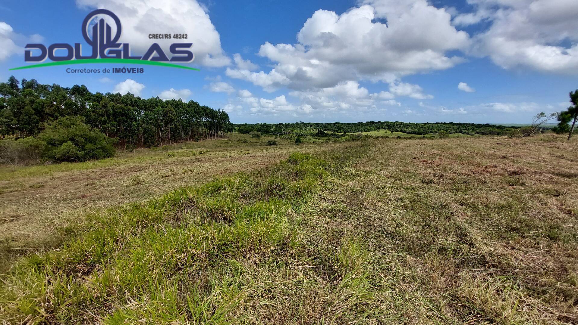 Terreno à venda, 20000m² - Foto 16