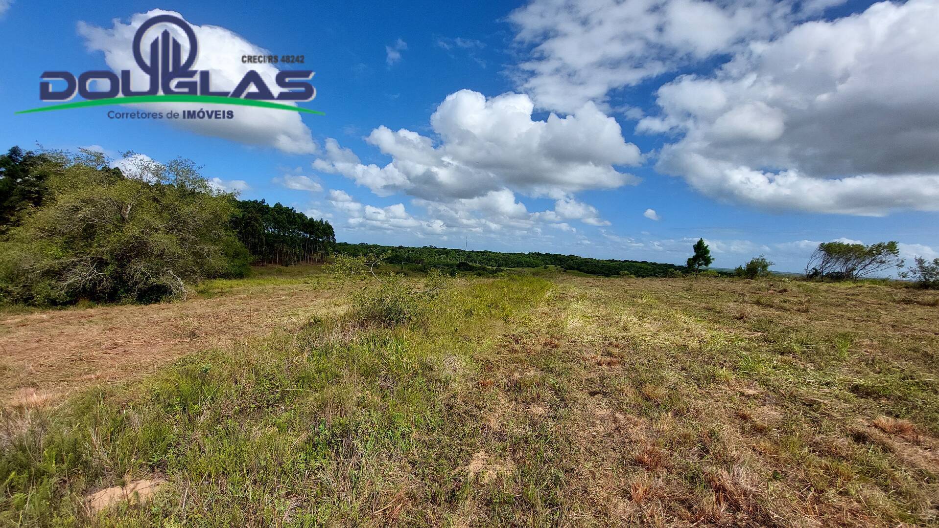 Terreno à venda, 20000m² - Foto 18