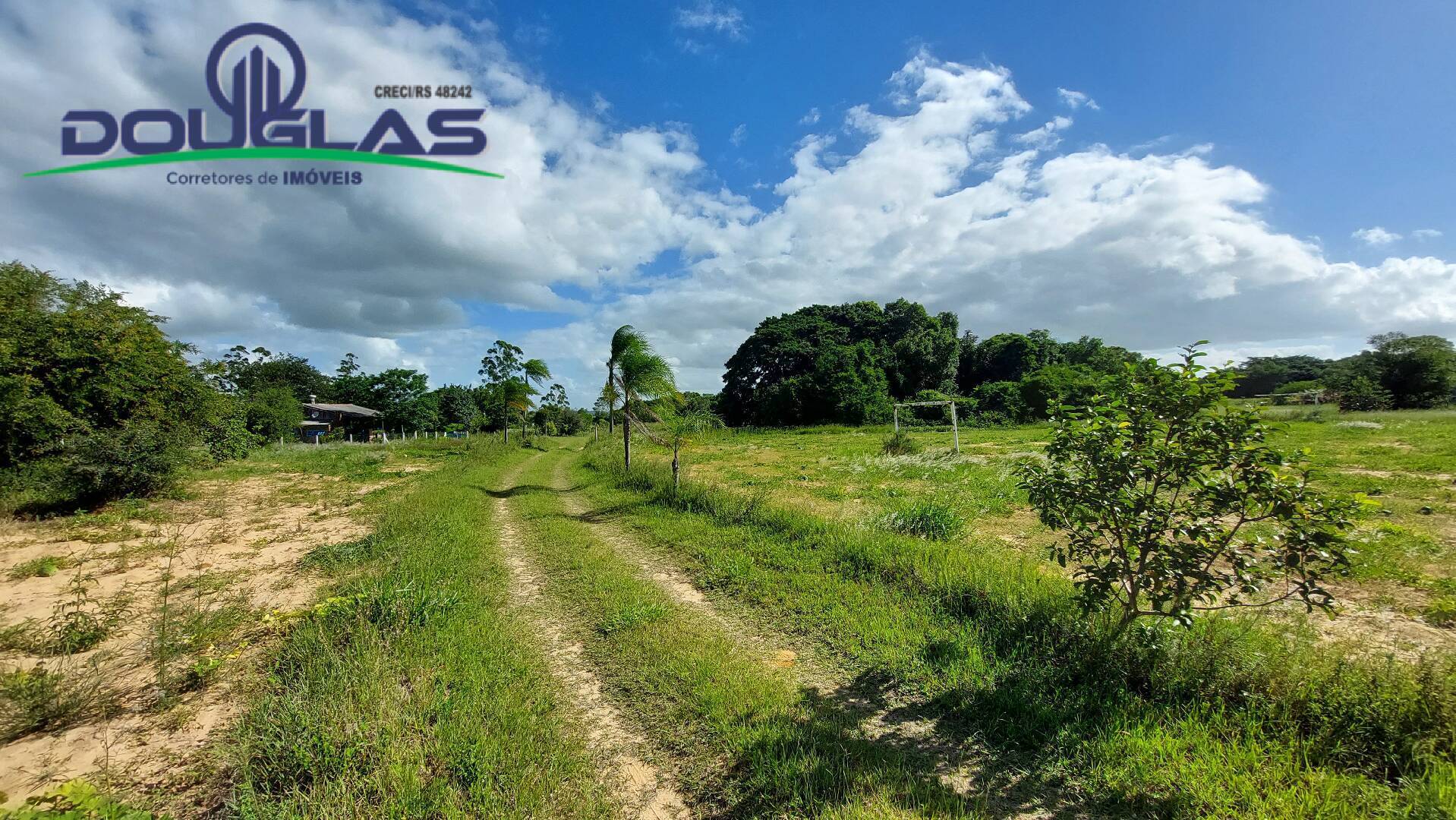 Fazenda à venda com 2 quartos, 100m² - Foto 19