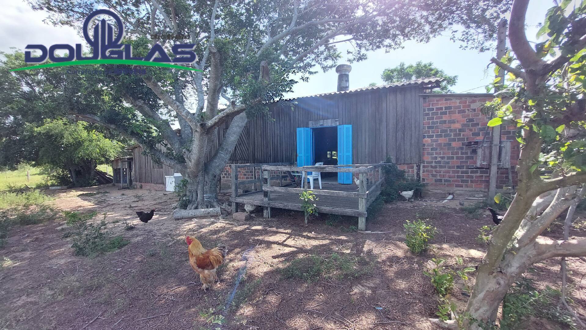 Fazenda à venda com 2 quartos, 100m² - Foto 26