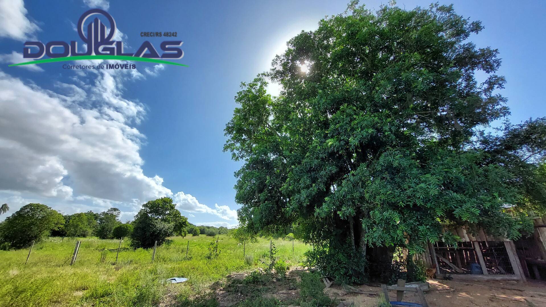 Fazenda à venda com 2 quartos, 100m² - Foto 27