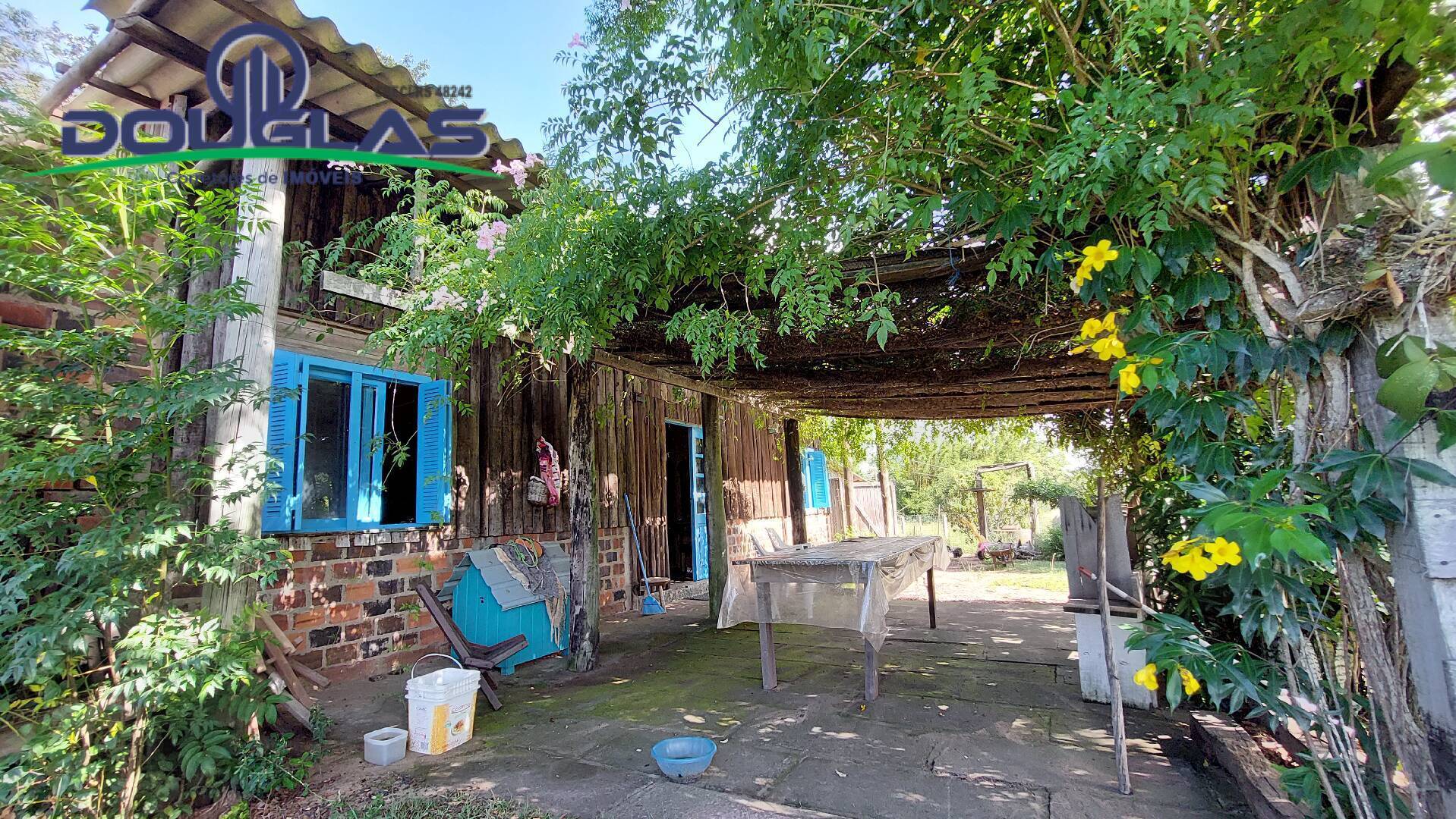 Fazenda à venda com 2 quartos, 100m² - Foto 5