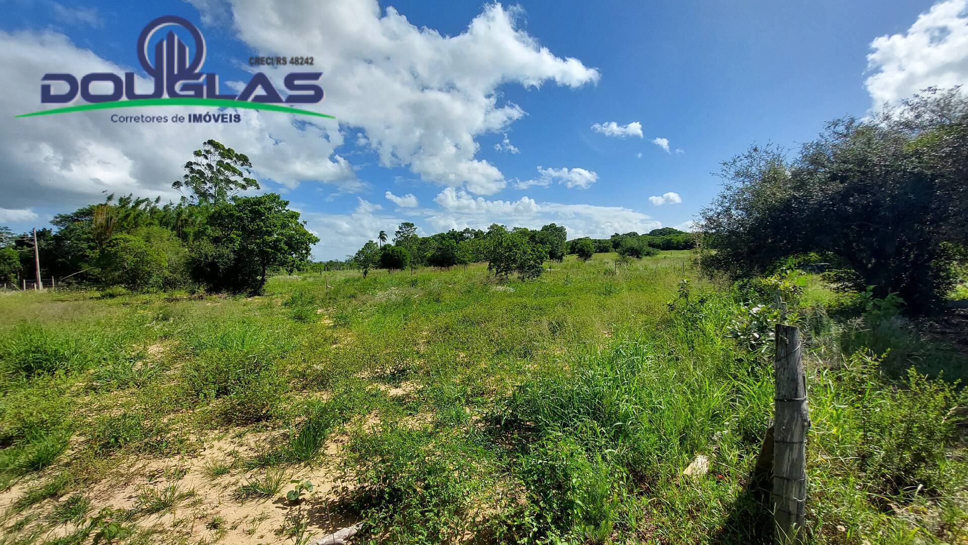 Fazenda à venda com 2 quartos, 100m² - Foto 32