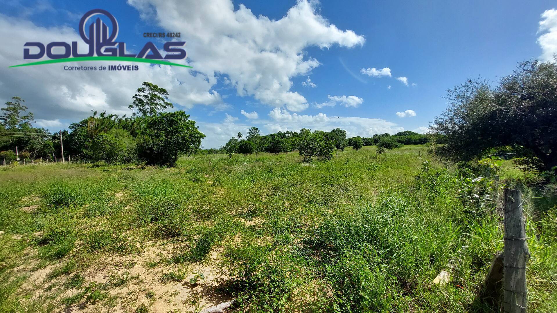 Fazenda à venda com 2 quartos, 100m² - Foto 33